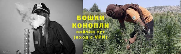 хмурый Белокуриха