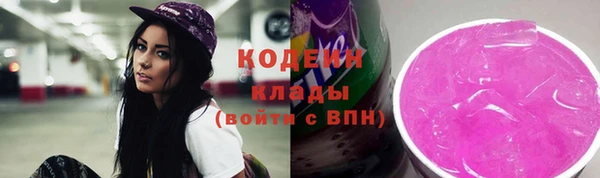 хмурый Белокуриха