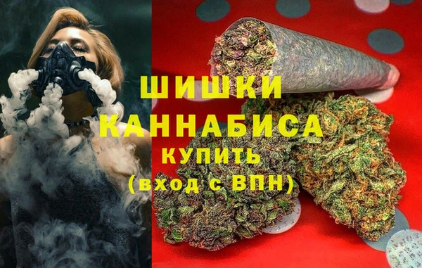 ГАЛЛЮЦИНОГЕННЫЕ ГРИБЫ Беломорск