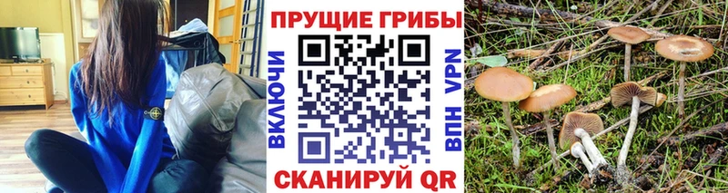 Галлюциногенные грибы Magic Shrooms  что такое   Гремячинск 